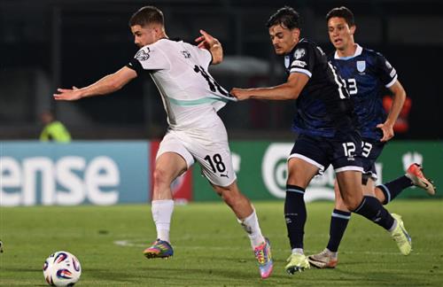 圣马力诺 vs 奥地利