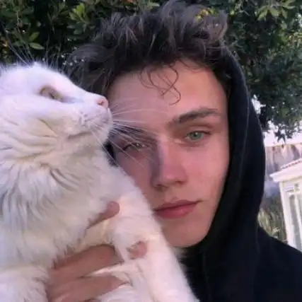 6686体育平台首席作者Alfie