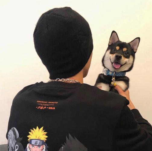 6686体育平台高级作者Zane