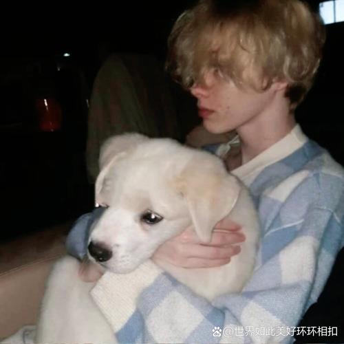 6686体育平台初级作者Blythe