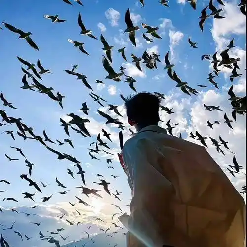 6686体育平台签约作者苏璃陌