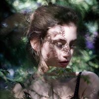 6686体育平台铁牌作者Quincy