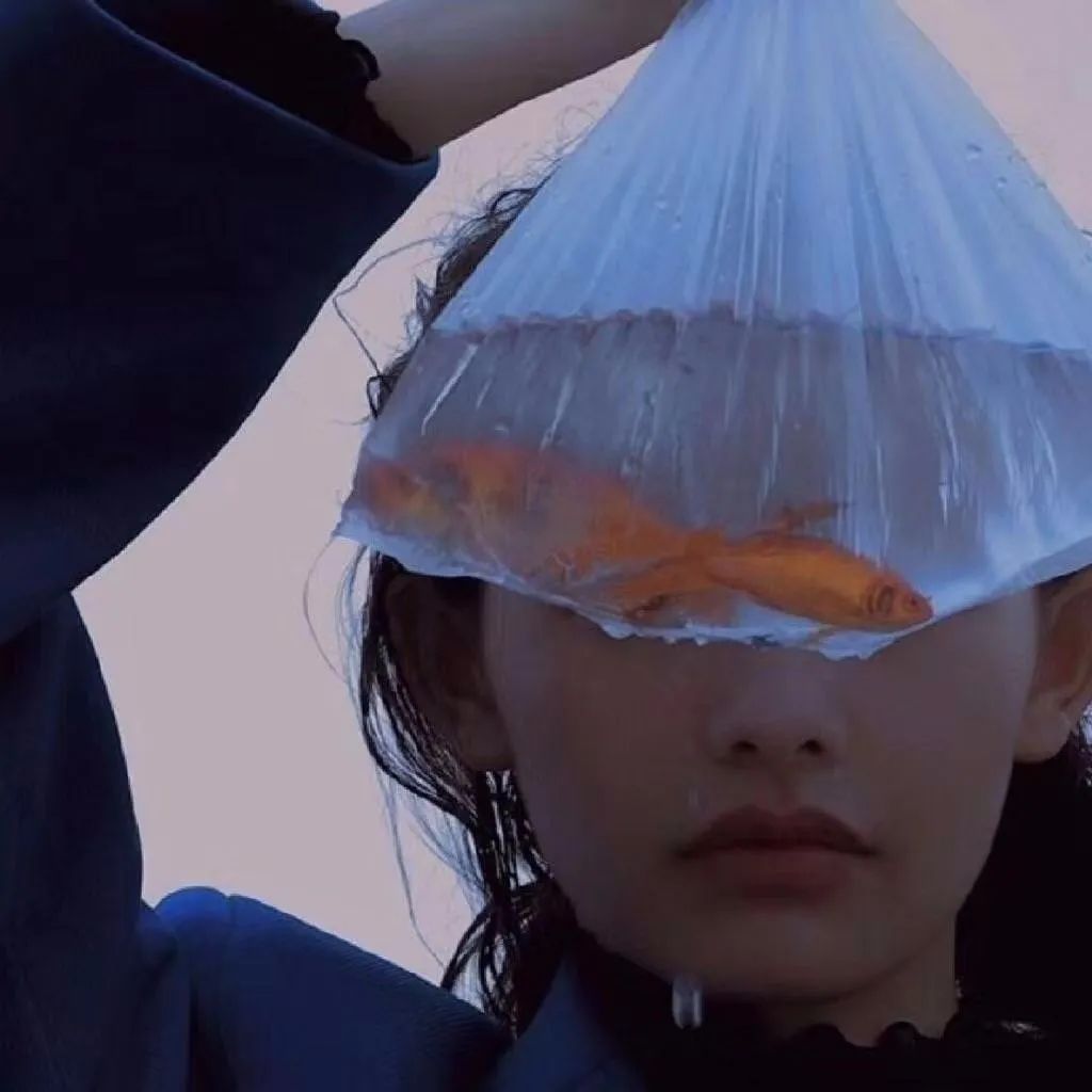 6686体育平台铜牌作者Bob