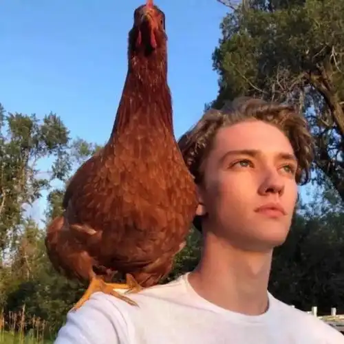 6686体育平台海外作者Raymond